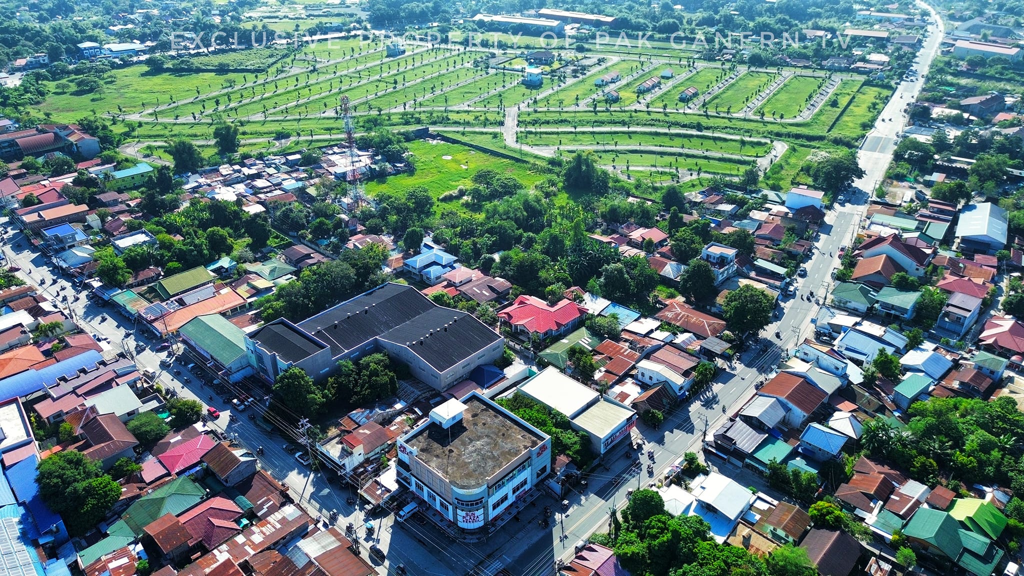 Gerona Rice Fields